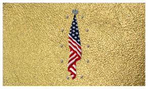 DNSEMP-C-421-SH-GD Flag at Rest Shimmer Gold